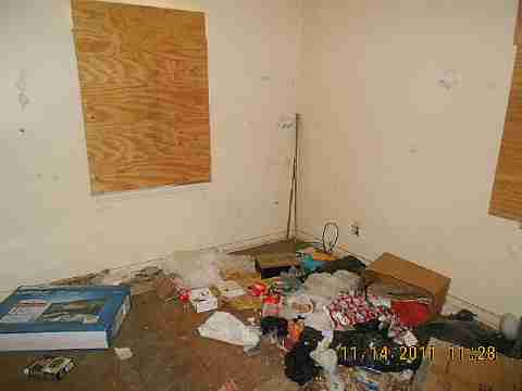 7485 American (22)_m.jpg